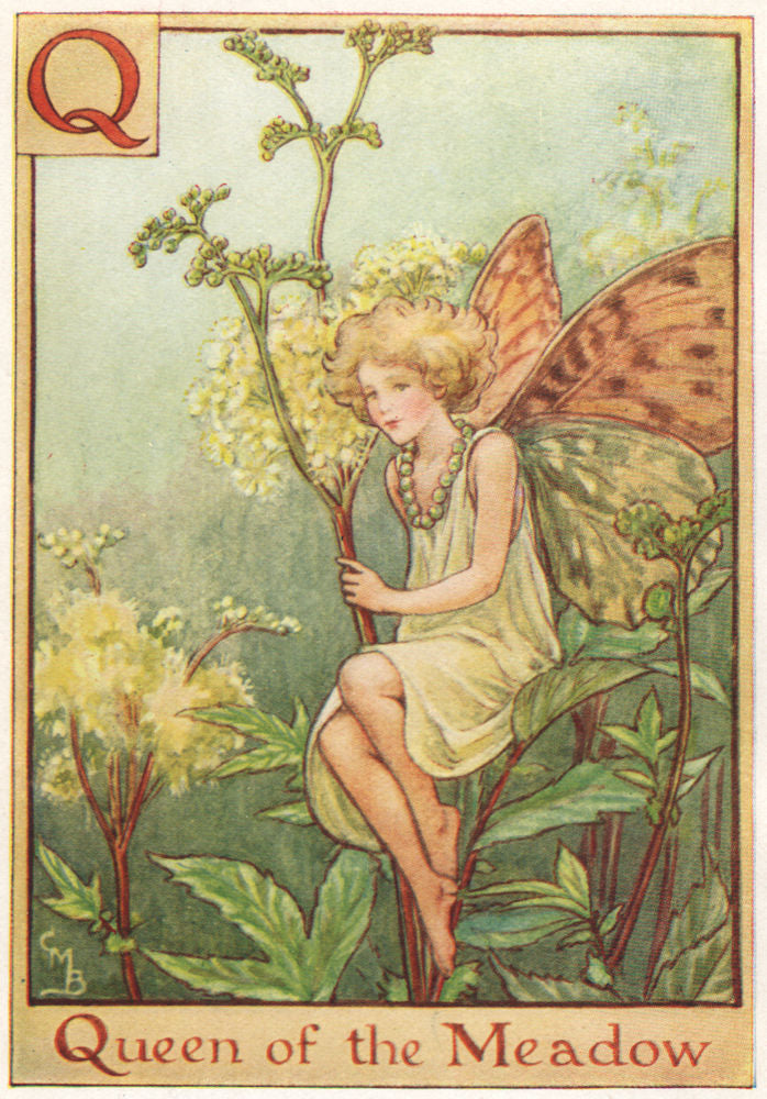 Q = Queen of the Meadow Fairy. Cicely Mary Barker. Alphabet Flower Fairies c1934